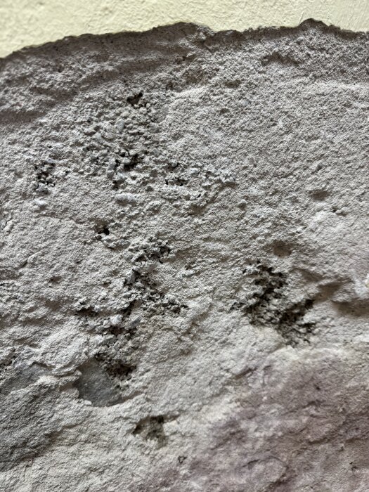Närbild av en källarvägg med delvis vittrad puts från 40-talet, visar ojämn struktur och skador orsakade av fukt.