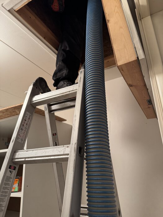 Stege lutad mot vindslucka, blå slang för lösullsisolering, person i arbetskläder syns på vinden.