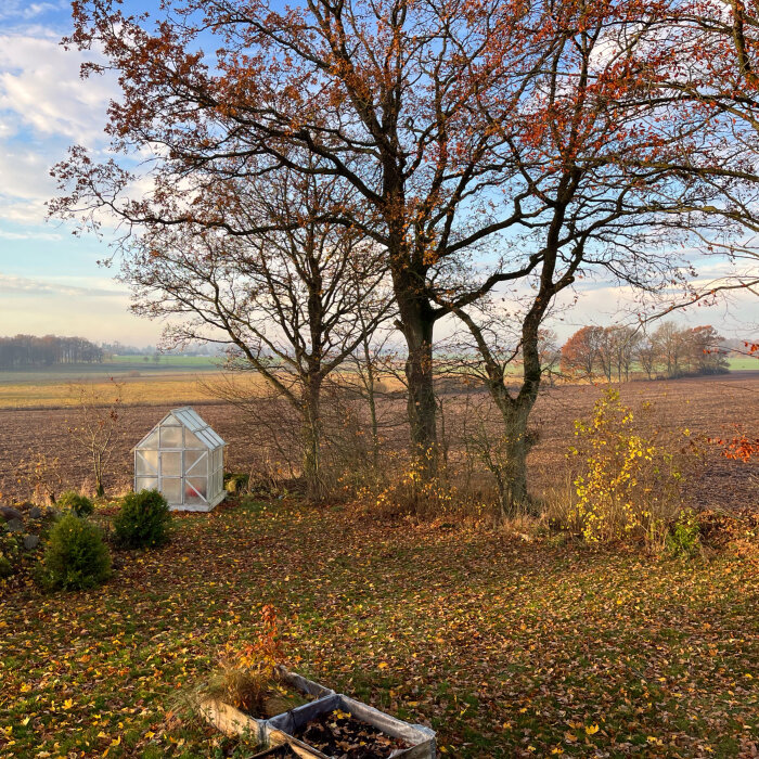 Höstlandskap med träd och fält sett från balkong, löv i höstfärger på marken, litet växthus vid kanten av åkern.