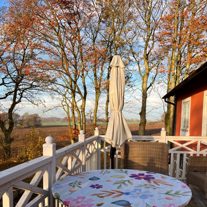 Höstig balkongutsikt med färgglada löv och solsken. Bord med blommig duk och en hopfälld parasoll, omgiven av träd med kvarvarande löv.