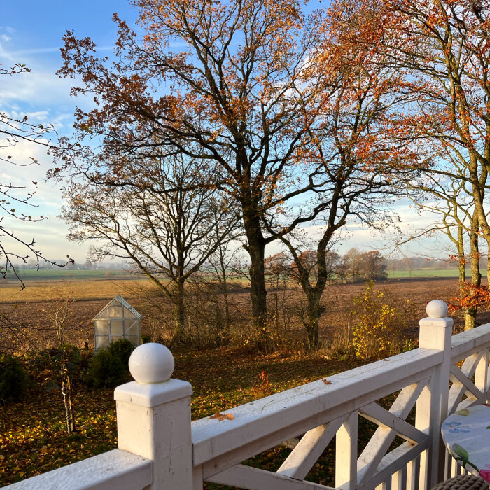 Balkong med utsikt över höstfärgad trädgård och fält, träd i höstfärg och ett litet växthus i bakgrunden.