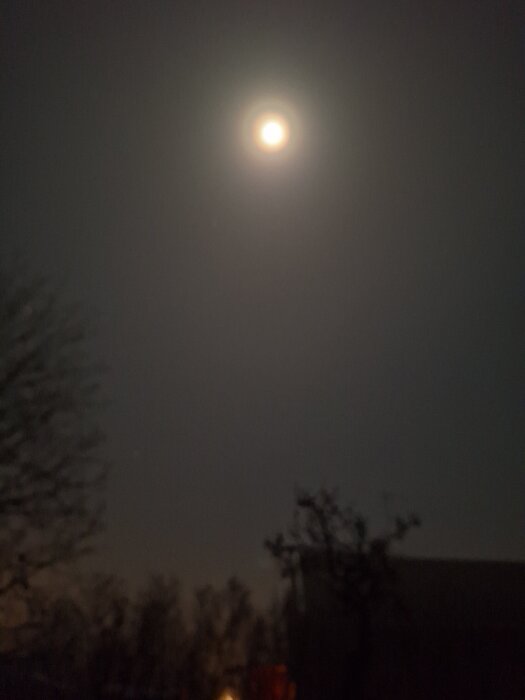 Dimhöljd fullmåne på natthimmel med träd i förgrunden.