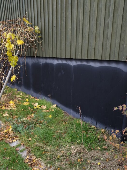 Fuktiga fläckar och sprickor syns på suterrängens yttervägg tillsammans med höstlöv och växtlighet bredvid väggen.