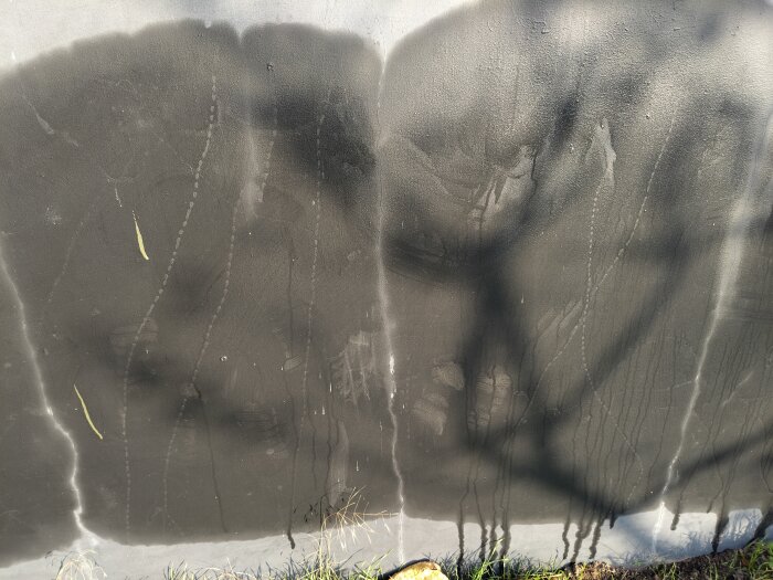 Fuktiga fläckar och sprickor på en suterrängvägg utsatt för morgonfukt, med gräs vid basen. Potentiellt dräneringsproblem.