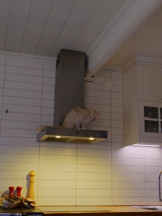 En vit katt sitter ovanpå en köksfläkt i ett modernt kök med vita väggar och skåp.