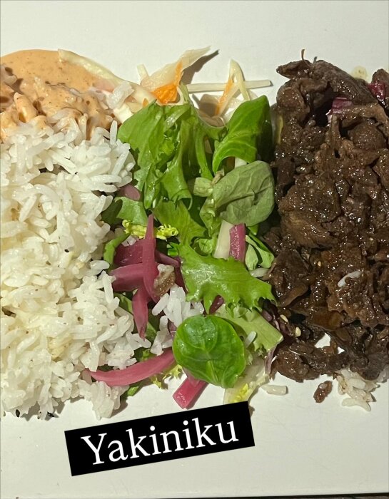 Tallrik med yakiniku, ris, grönsaker och dressing.
