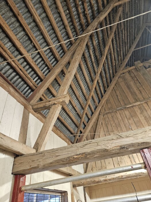 Taket i ett stall med träbjälkar och korrugerat plåttak, där takbjälkar är placerade i olika höjder.