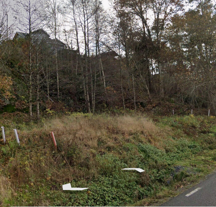 En gräsbevuxen sluttning med träd och rör som sticker upp, bredvid en väg. Möjlig infiltration i marken förväntar sig utmaningar vid vägbygge.