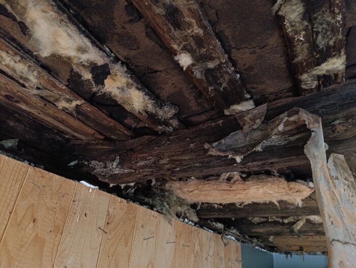 Fuktskadad trästruktur i garagets tak med isolering som lossnat och synliga skador.