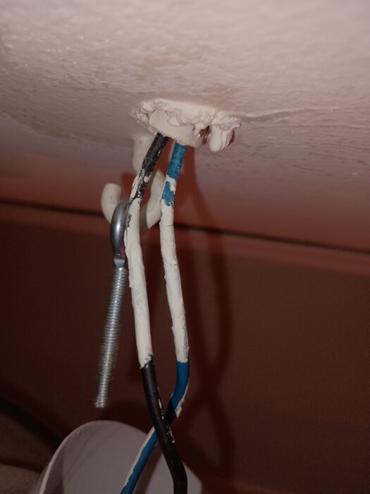 Två elektriska kablar, en svart och en blå, hänger från ett tak. Kablarna är delvis exponerade och två skruvar syns bredvid dem.