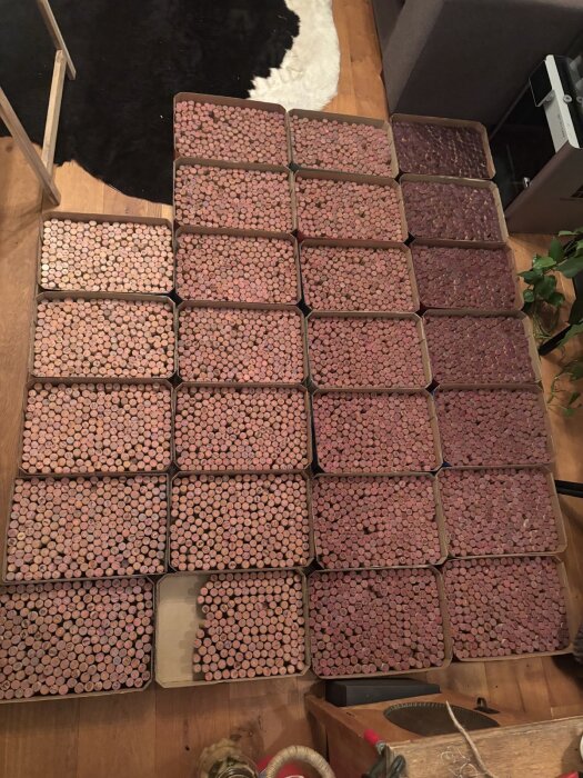 Sorterade vinflaskkorkar i lådor på ett golv, bildar en gradient av färger från ljusa till mörka nyanser.