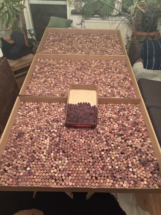 Hundratals vin- och champagnekorkar sorterade i färgnyanser ligger i stora kartonger, omgivna av växter och möbler inomhus.