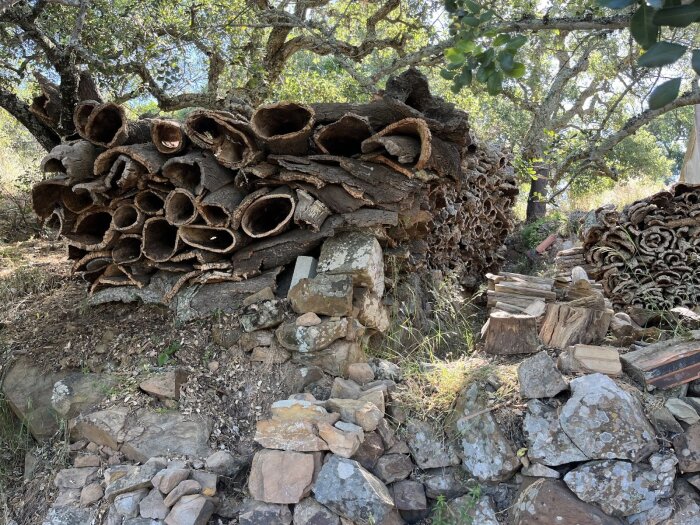 Högar av korkbark ligger staplade mellan träden på marken, omgivna av stenar och lövverk i en skogsmiljö.