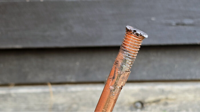 Närbild av kopparspett med avnött yta, del av ett jordningsprojekt i en trädgård, nämns i text om installation av elcentral och jordtag.