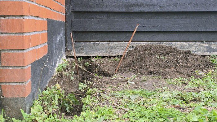 Jordspett av koppar står i marken bredvid en tegelvägg och en svart träpanel; omgivna av gräs och en hög med jord.