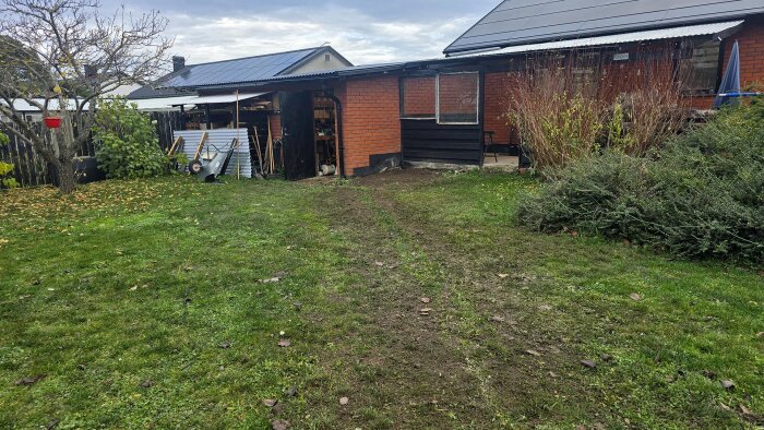 Trädgård med grön gräsmatta, ett träd till vänster, uteplats med trall och ett rött tegelhus i bakgrunden.