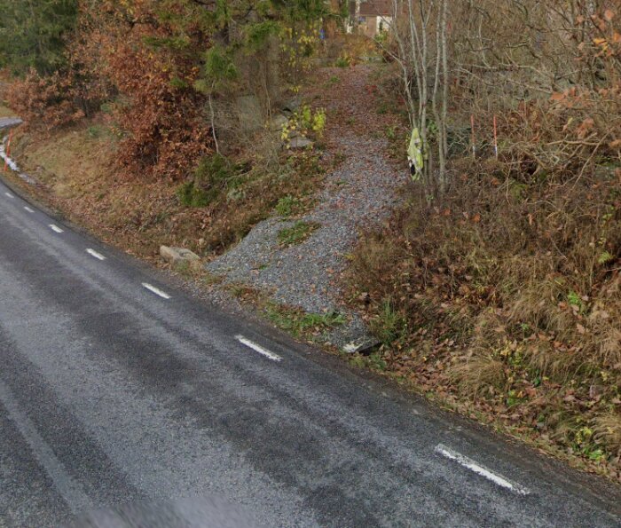 Grusbelagd stig som leder upp från en asfalterad väg, omgiven av höstlöv och buskar, med potentiella trafikverksförbättringar.
