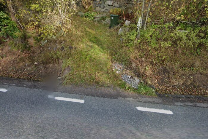 Grönskande stig vid vägkant, omgiven av buskar och träd, med smal grusad yta och en grön soptunna i bakgrunden.