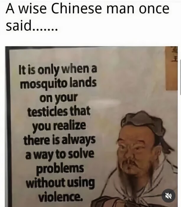 Text om visdom från en kinesisk man med illustration; att inte använda våld, exemplifierat med en mygga och testiklar.