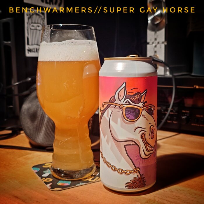 En ölburk med motiv av en häst i solglasögon och ett glas öl bredvid, texten "BENCHWARMERS/SUPER GAY HORSE" syns.