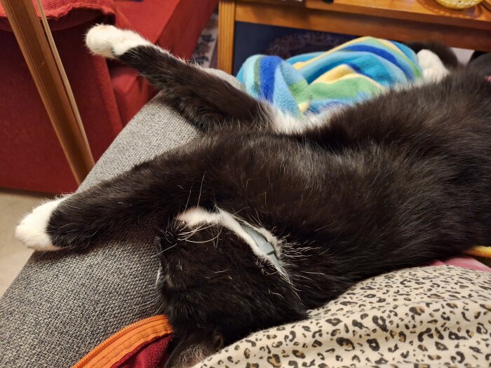 En svartvit katt ligger avslappnat på en grå soffa bredvid en färgglad filt och leopardmönstrad tyg.