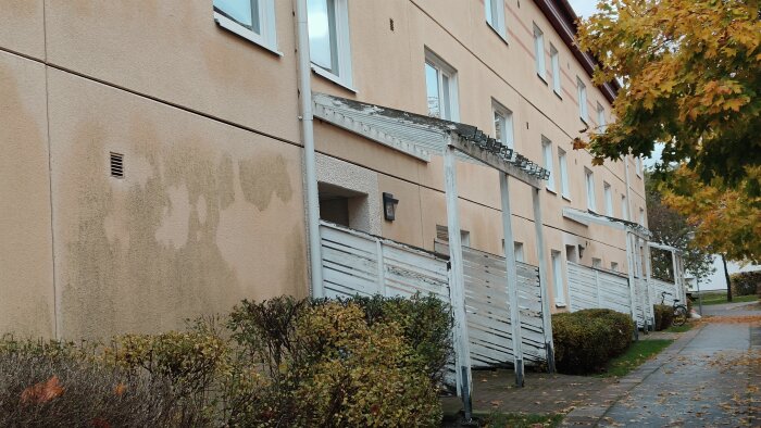 Sliten fasad på ett flerfamiljshus med flagnande färg och slitna balkonger omgivna av höstliga träd och gångstig.