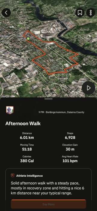 Karta och statistik från en promenad i Borlänge; visar rutt, avstånd 6.01 km, 6928 steg, tid 51:18, kalorier 380, höjd 30 m, medelpuls 101 bpm.