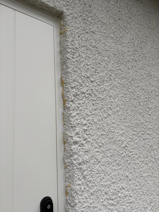 Närbild på en vit ytterdörrsida mot en grovputsad vägg, med gulnad fog mellan dörrkarmen och väggen.