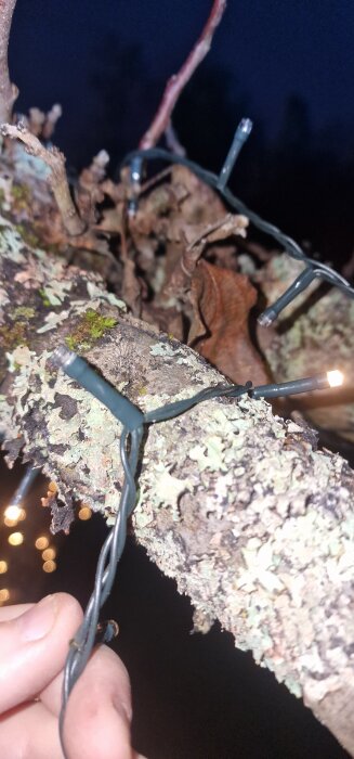 Ljusslinga virad runt en trädgren, en del lampor lyser inte. Ett par lampor syns lysa i bakgrunden mot en mörk himmel.