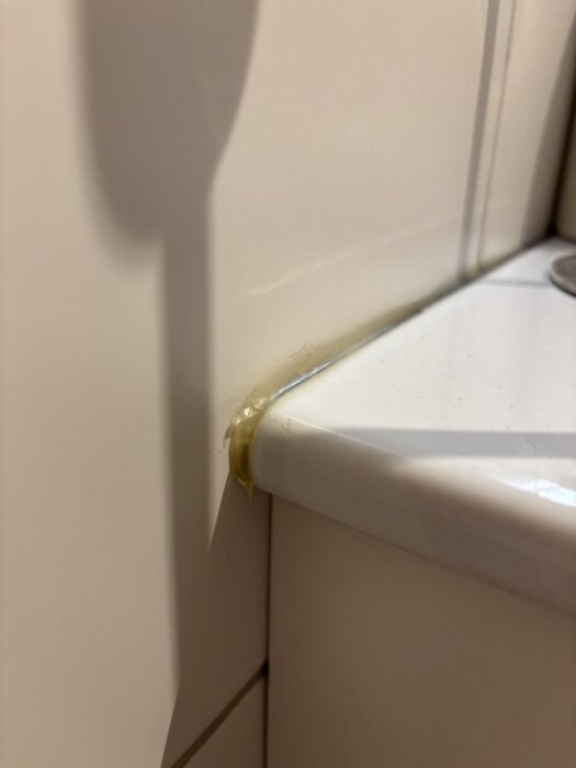 Mögel vid fog på handfat i ett hus, närbild på problemområdet.