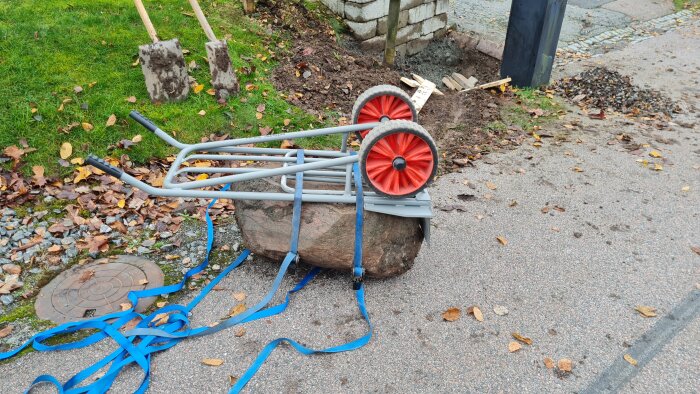 Säckkärra med röda hjul och remmar håller en stor sten, omgiven av gräsmatta och löv, vid en grävd grop i trädgården.