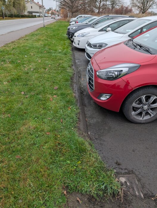 Bilar parkerade längs en gata med gräs mellan parkeringen och vägkanten, flera bilar har stenskottsskador.