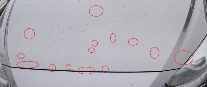 Närbild på en bils motorhuv med flera stenskott markerade i röda cirklar, eventuellt från nyligt utfört vägunderhåll.