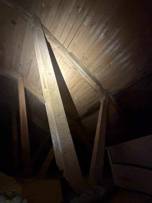 Trätakstolar i en vind, upplysta med ficklampa, samt lådor underst. Taken är täckta med träpaneler.