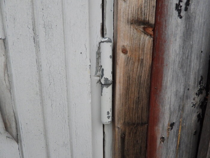 Bild på gångjärn på en vädersliten garageport; vit färg flagnad och omgiven av träpanel i olika skick.