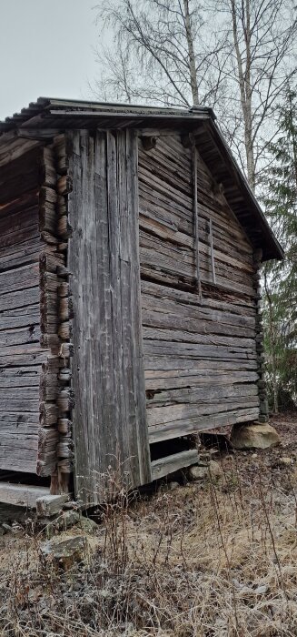 Gammalt och förfallet härbre med skadad bakre gavel och slitna stockar, omgiven av vinterträd och torrt gräs på marken.