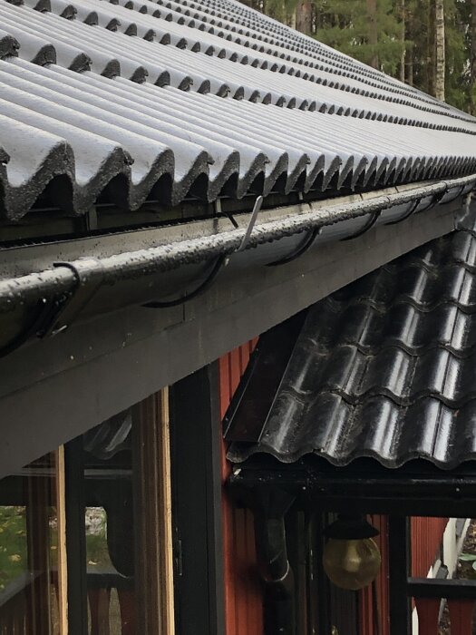 Tak med vågiga plåtskivor där fotplåten ligger långt in på bärläkten, och gammal takpapp syns mellan fotplåten och hängrännan.