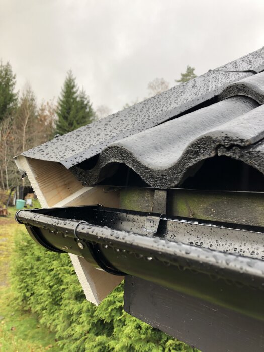 Närbild på tak med svart fotplåt och hängränna, där gammal takpapp syns mellan fotplåt och hängränna.