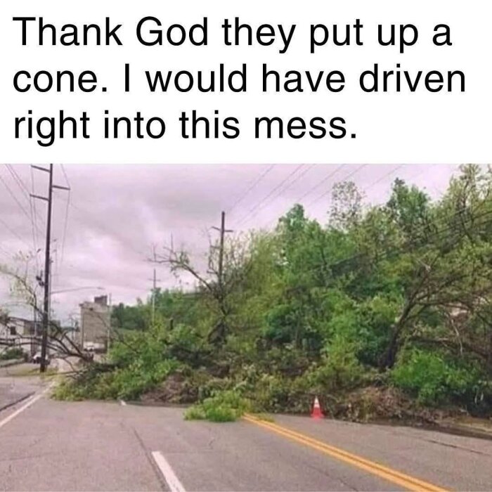 Träd fallit över väg med trafikkon och texten "Thank God they put up a cone. I would have driven right into this mess.