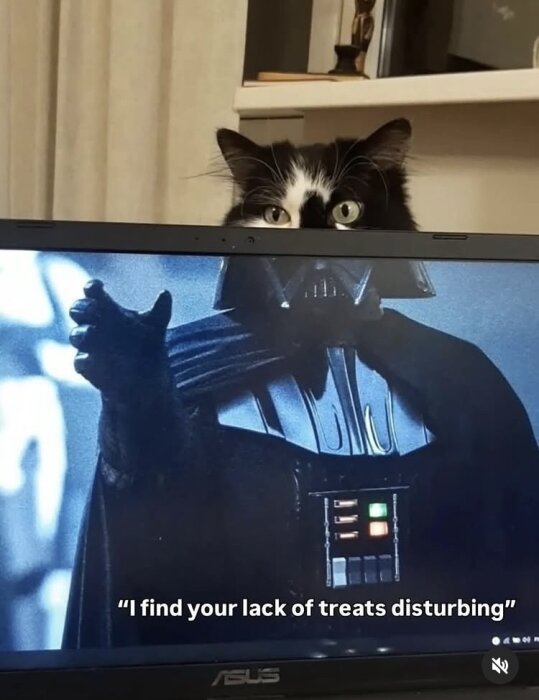 En katt tittar över kanten på en laptop-skärm som visar en scen med en filmkaraktär och texten "I find your lack of treats disturbing".