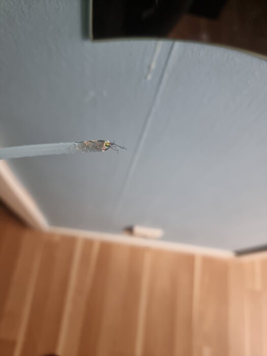 Klippt kabel med synliga koppartrådar i en hall med blå vägg.