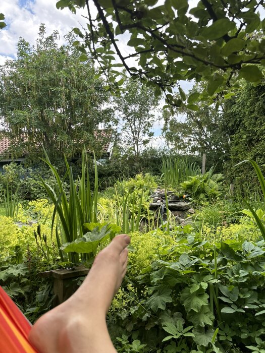 Hammockvy över frodig trädgård med träd, buskar och en liten stenformation, fot vilande i förgrunden.