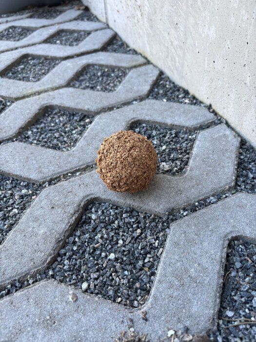 En solid korkboll ligger på ett mönstrat underlag av betong och grus.