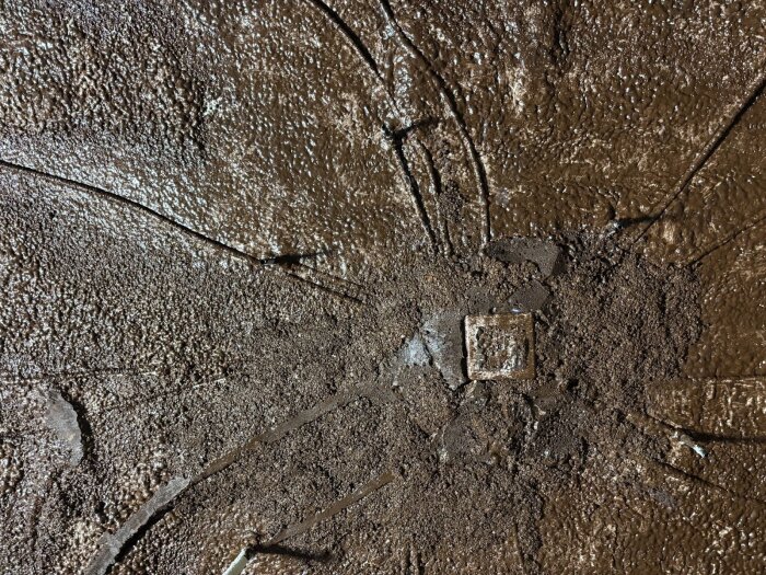 Brun yta täckt med korkspackel, ojämn textur och synliga lager av olika material. Central fyrkant och sprickliknande mönster i massan.