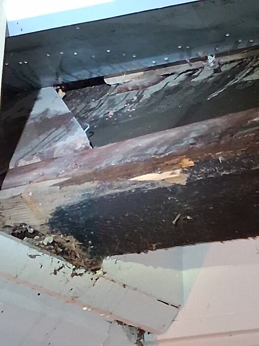 Skadat tak med synliga mörka fläckar, blottade träbjälkar och lövansamlingar, möjligen orsakade av läckande vatten.