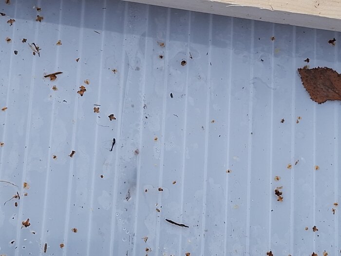 Blött tak täckt av smuts och löv, med vatten och skräp spritt över ytan.