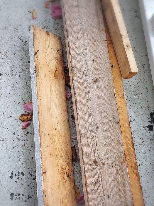 Brädor med spikar liggande på marken, omgivna av fallna löv och blomblad.