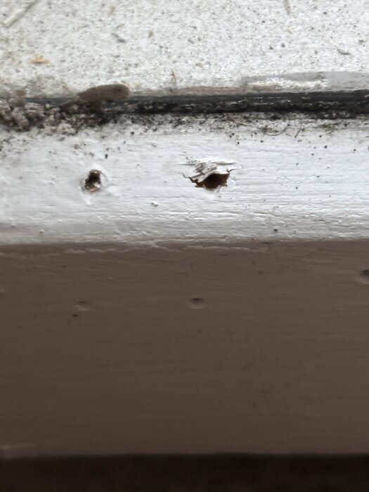 Mögel och skador synliga i fönsterramens fogar med viss fuktutveckling. Potentiell källa till boendemiljörelaterade symptom.