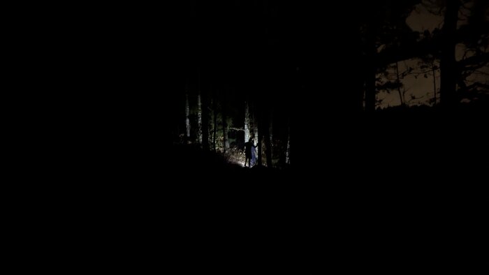 En person med ficklampa går genom en mörk skog. Träden är svagt upplysta av ljuset.