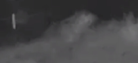 Mörk, otydlig bild med svag kontur av ett djur som liknar en råtta i dimma.